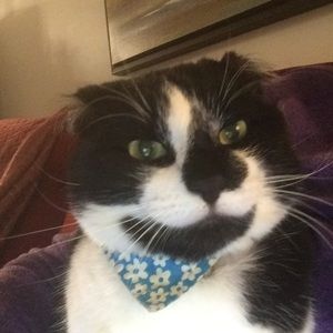 Meet your Posher, Karen